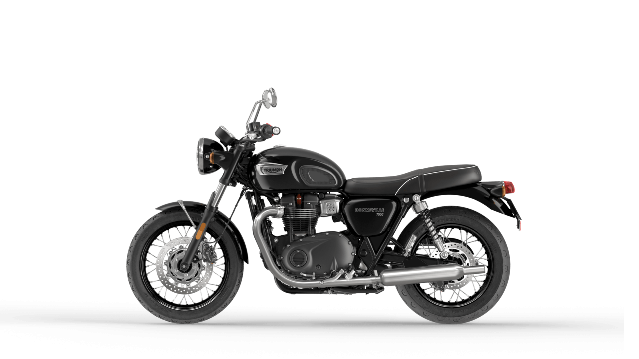 Triumph Bonneville T100 [2]