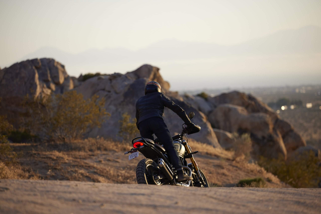 Triumph Scrambler 400 X [8]