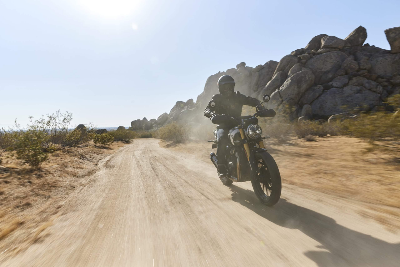 Triumph Scrambler 400 X [9]