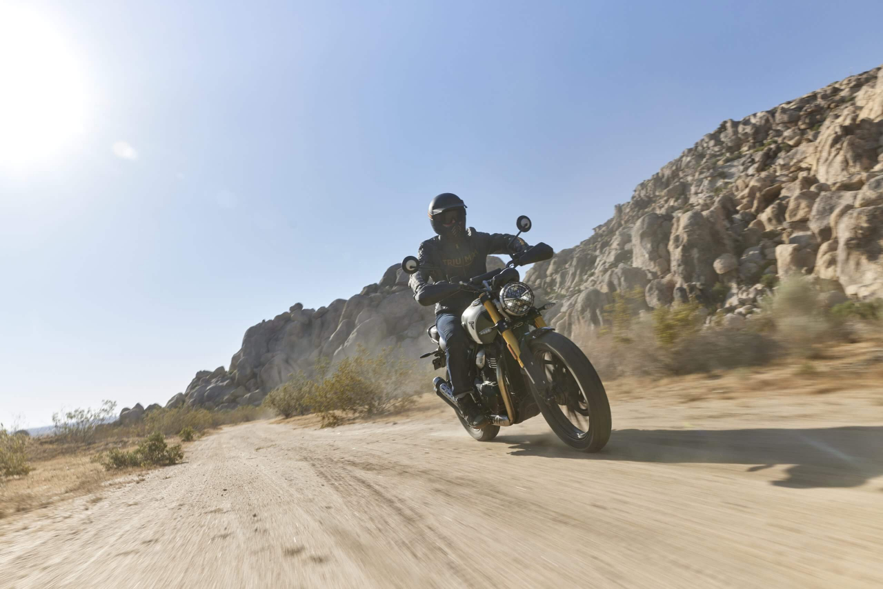 Triumph Scrambler 400 X [11]