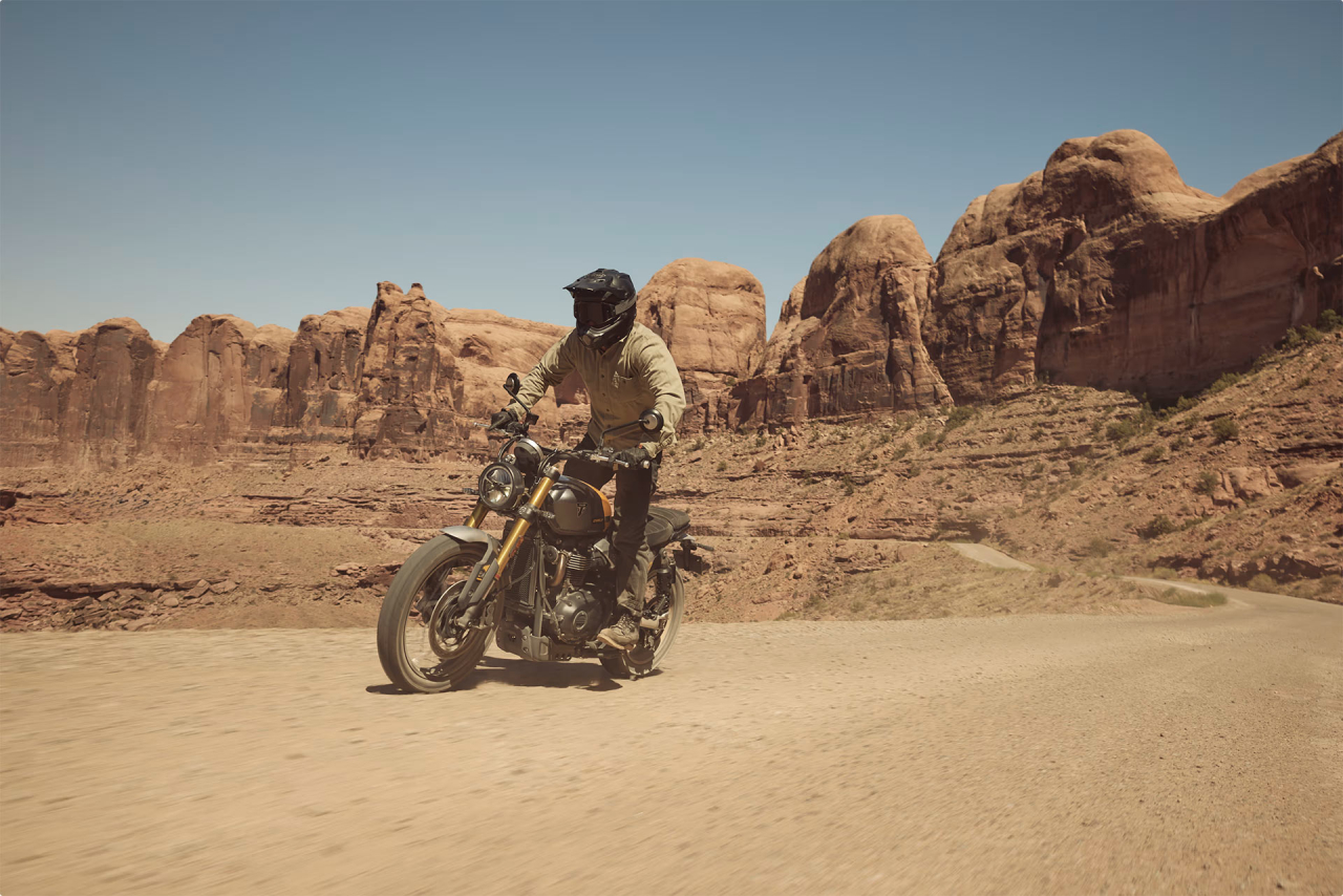 Triumph Scrambler 900 [4]
