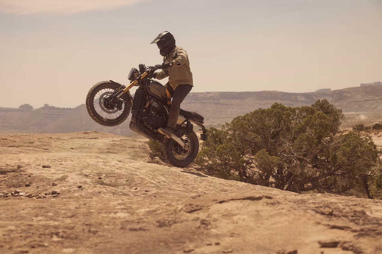 Triumph Scrambler 900 [7]
