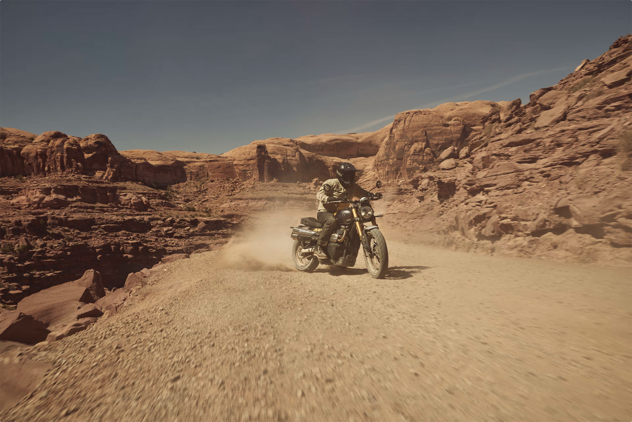 Triumph Scrambler 900 [6]