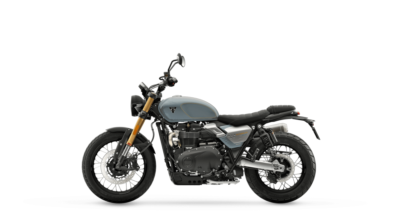 Triumph Scrambler 900 [3]