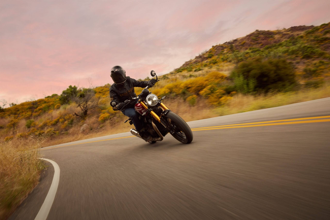 Triumph Speed 400 [7]