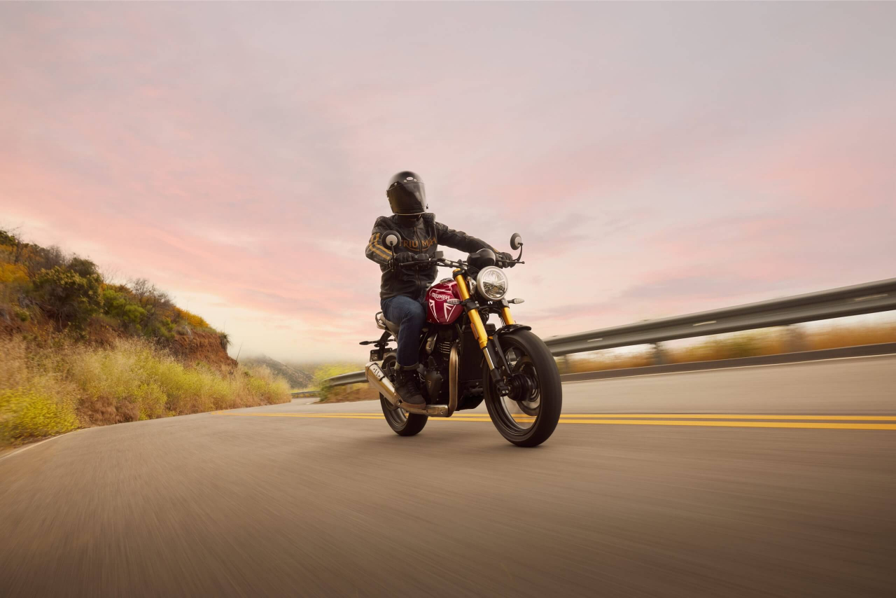 Triumph Speed 400 [6]