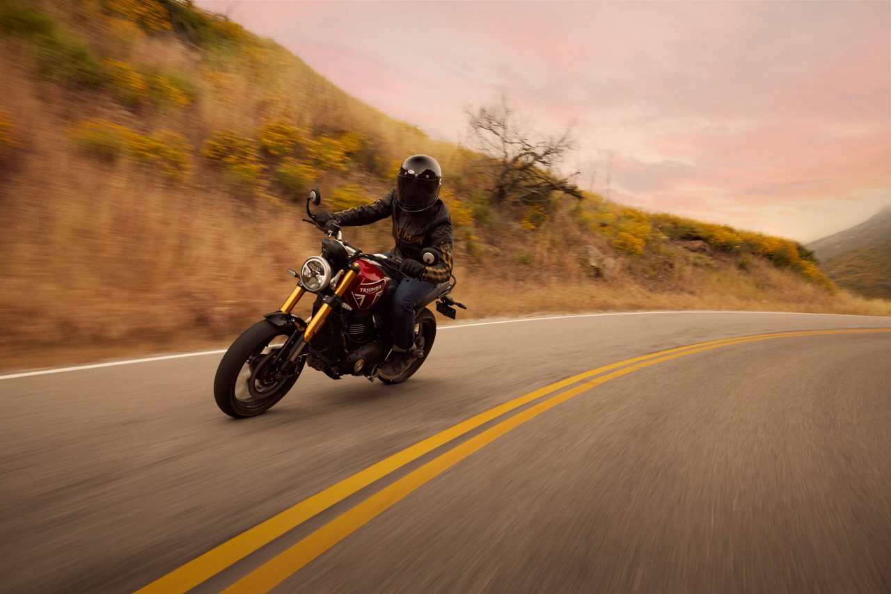 Triumph Speed 400 [8]