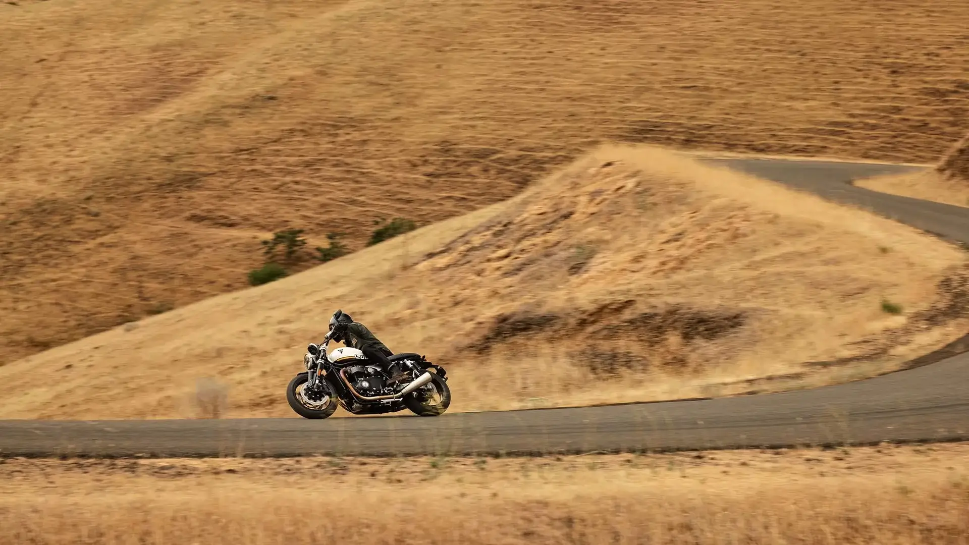 Triumph Speed Twin 1200 [8]