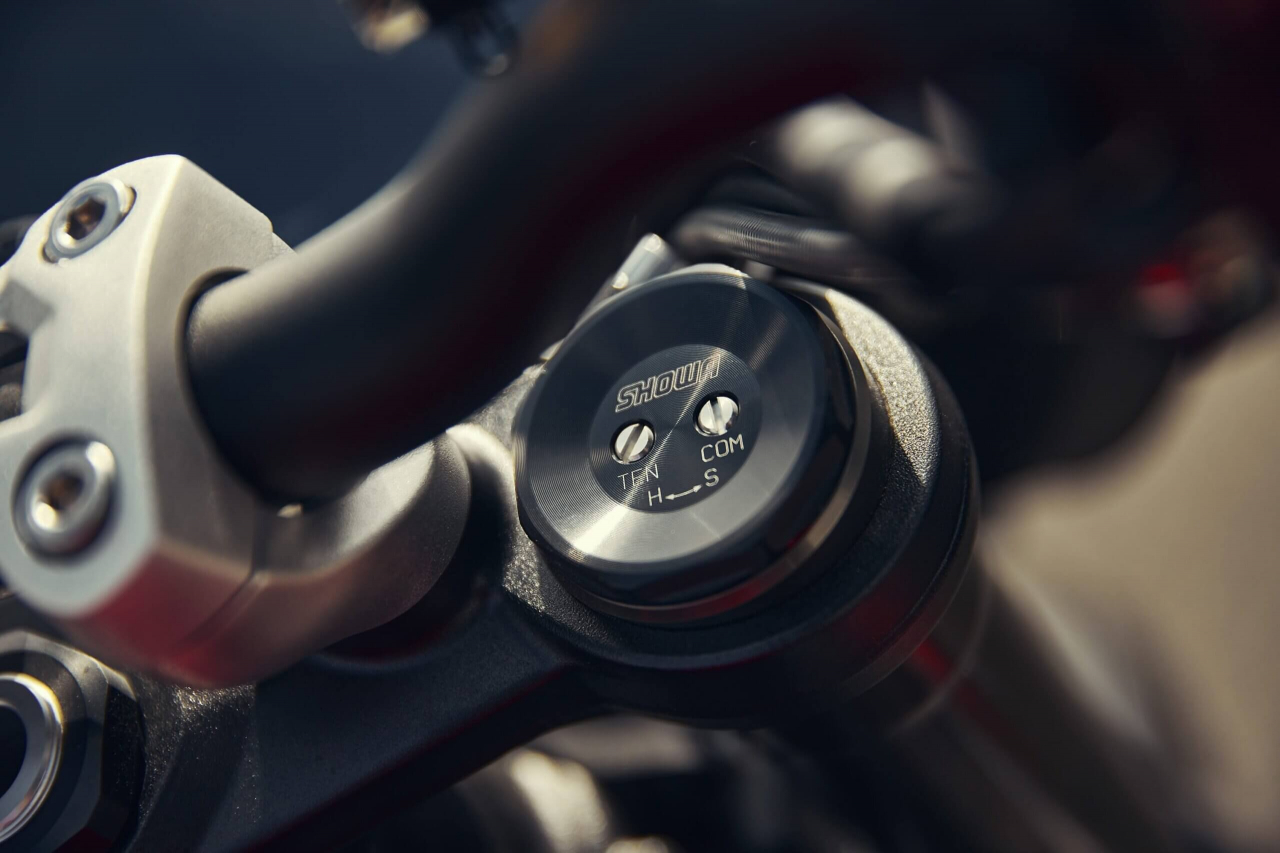 Triumph Street Triple 765 RS [11]