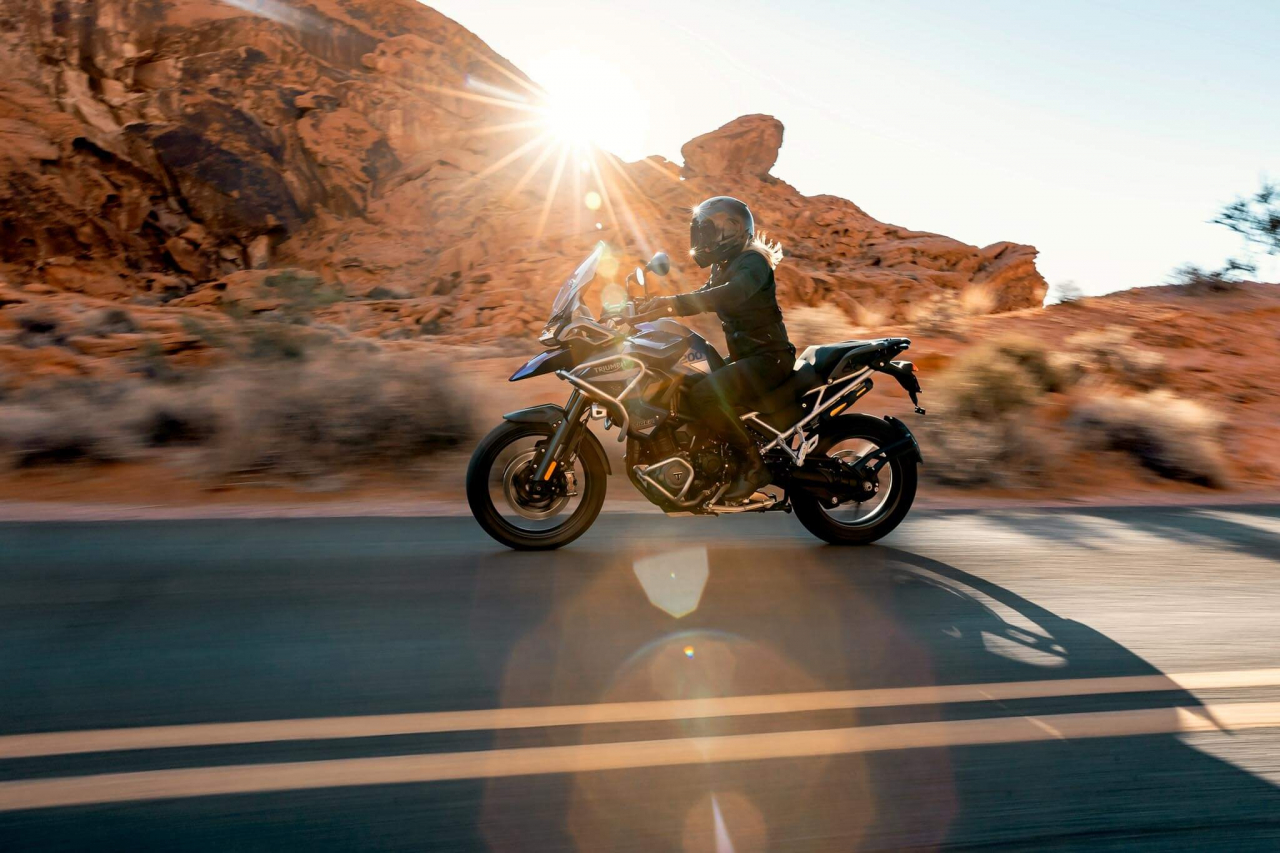 Triumph Tiger 1200 GT Pro [6]