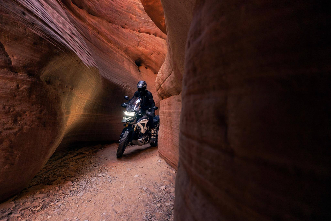 Triumph Tiger 1200 Rally Pro [5]