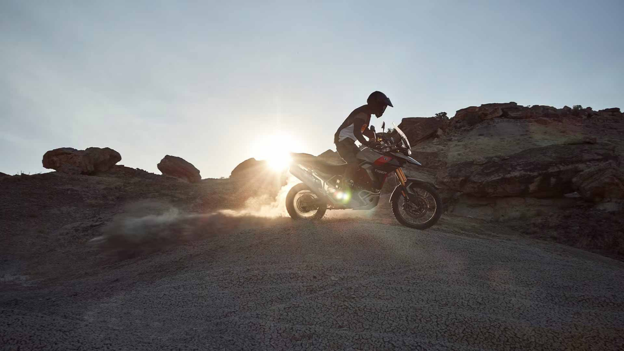 Triumph Tiger 900 Rally Pro [5]