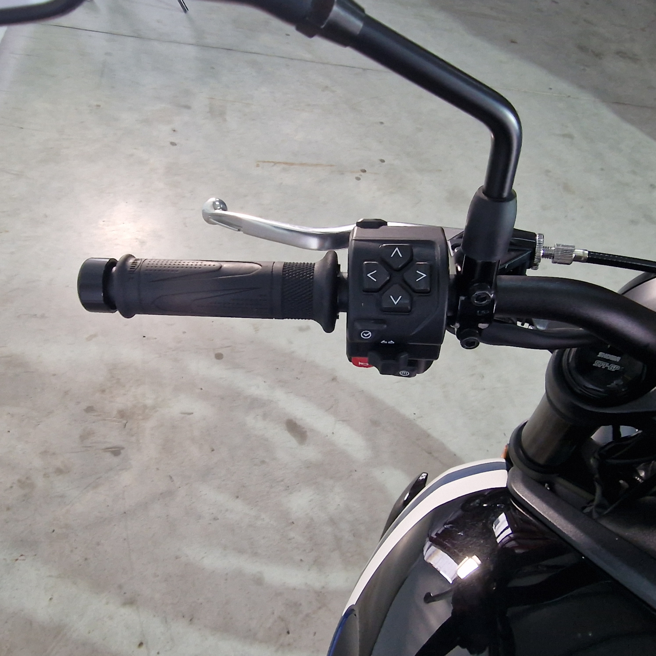 Triumph Trident 660 ABS | An 2025 | TC8652 [7]