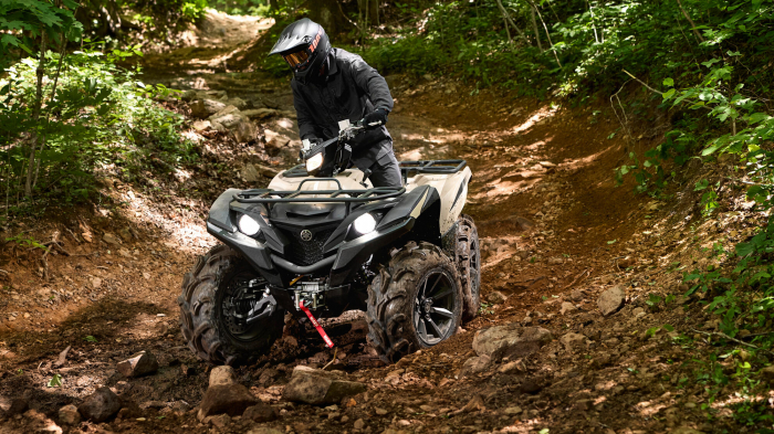 Yamaha Grizzly 700 EPS SE [5]