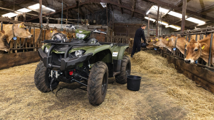 Yamaha Kodiak 450 EPS [4]