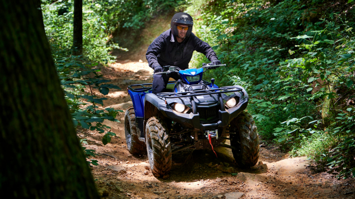 Yamaha Kodiak 450 EPS SE [11]