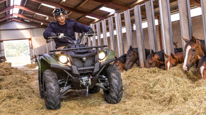 Yamaha Kodiak 700  [2]