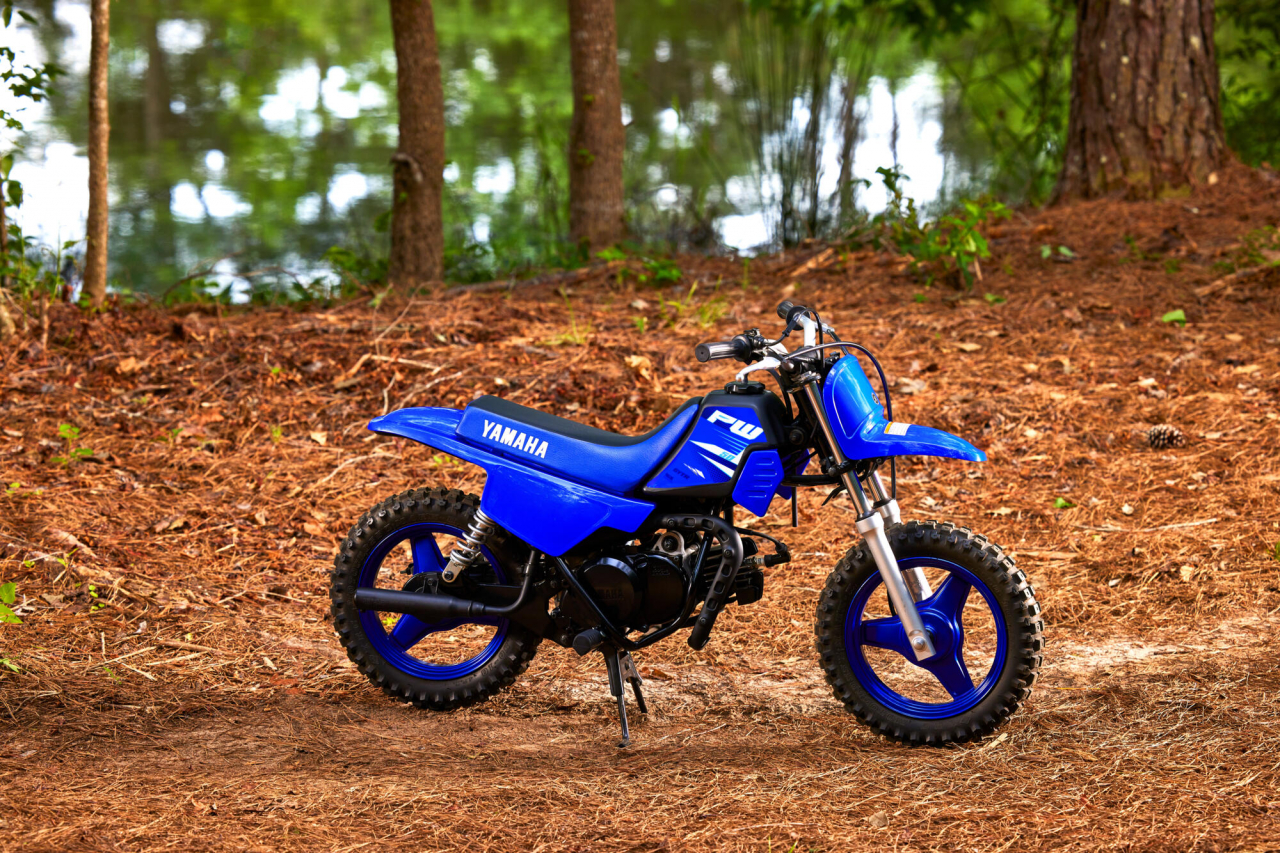 Yamaha PW50 [11]
