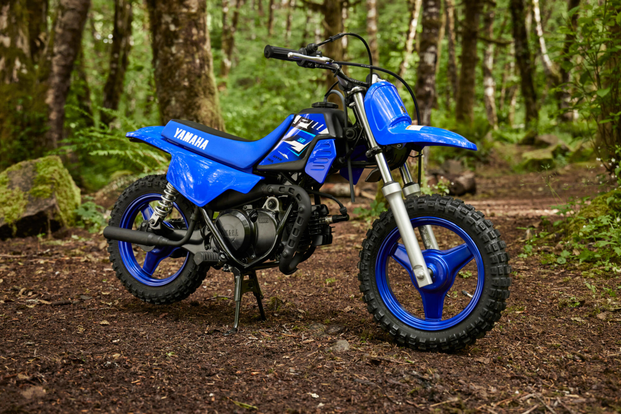 Yamaha PW50 [10]