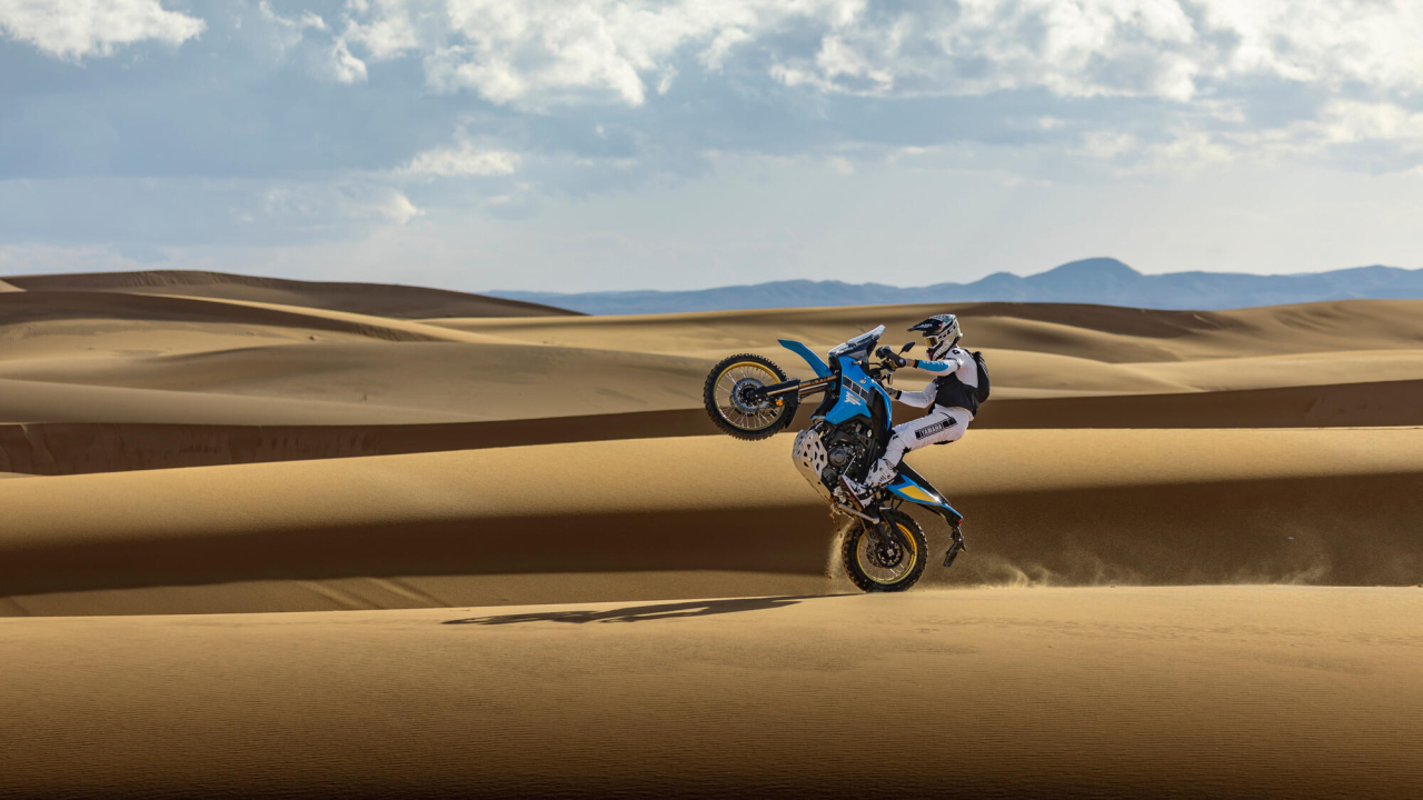Yamaha Tenere 700 Rally [8]