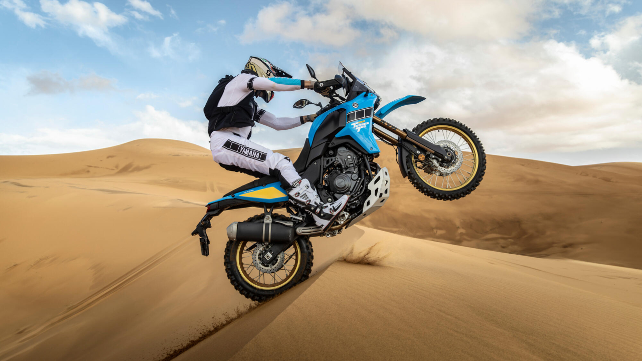 Yamaha Tenere 700 Rally [9]