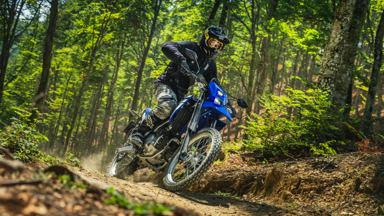 Yamaha WR125R [9]