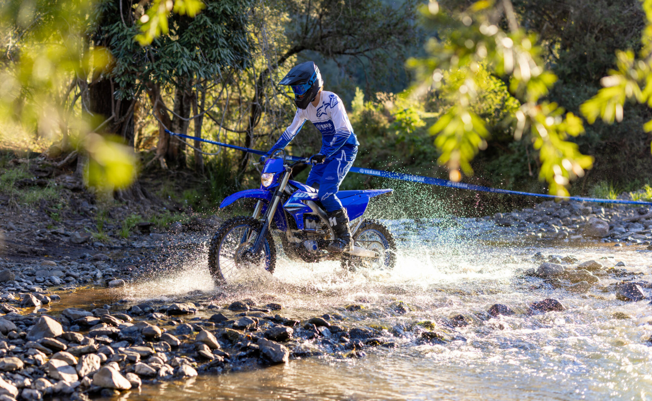 Yamaha WR250 F [12]