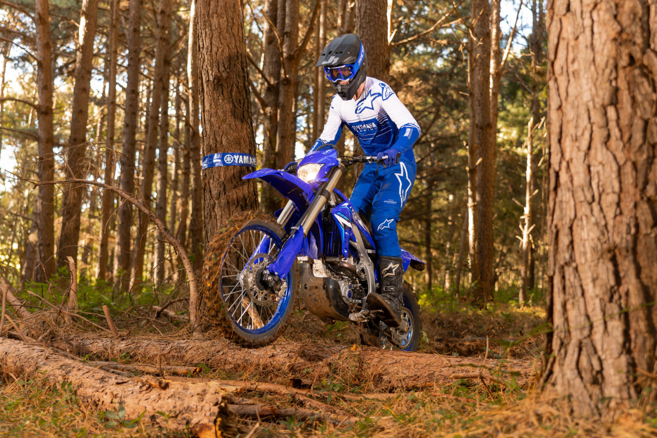 Yamaha WR250 F [4]
