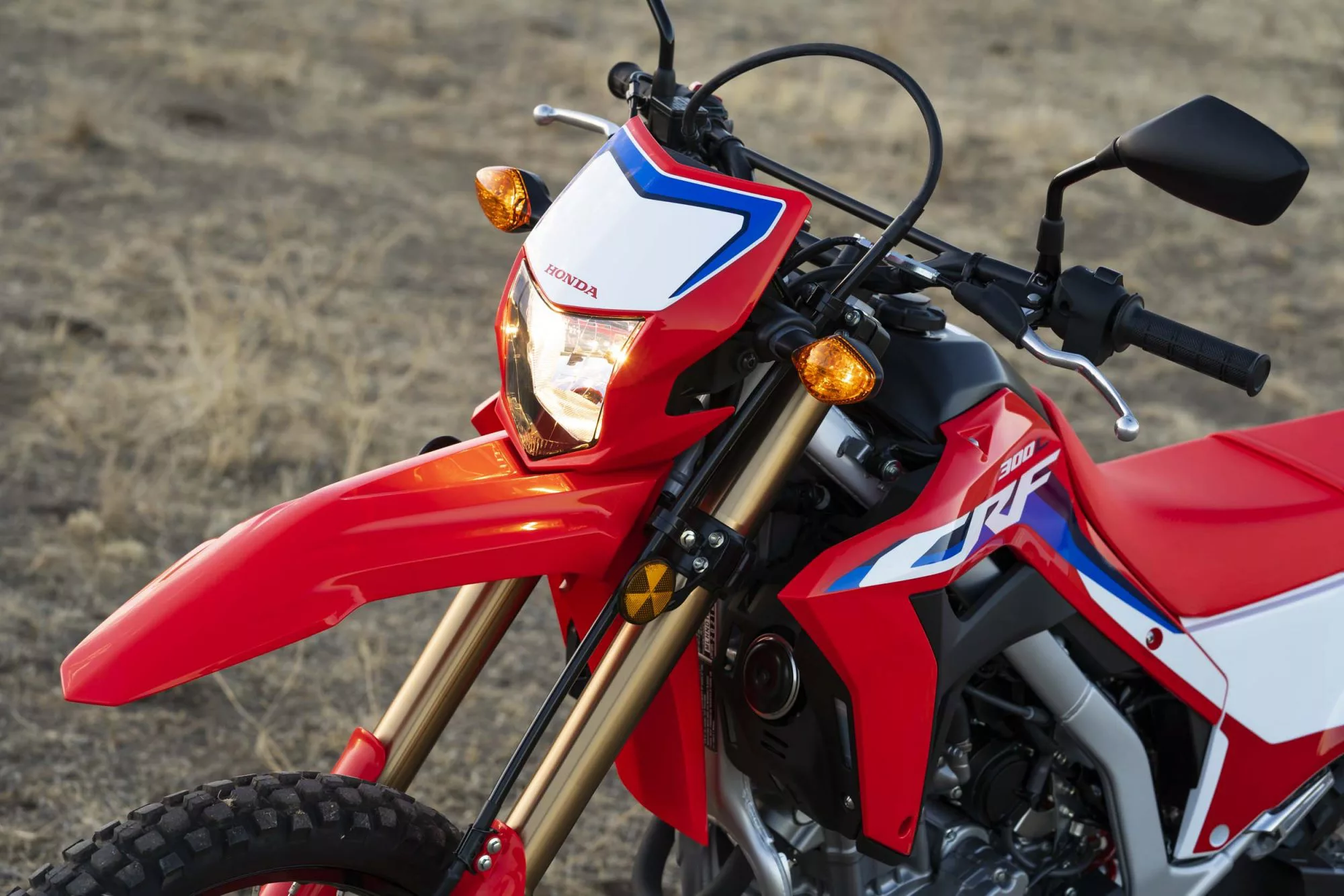 Honda CRF 300 L [7]