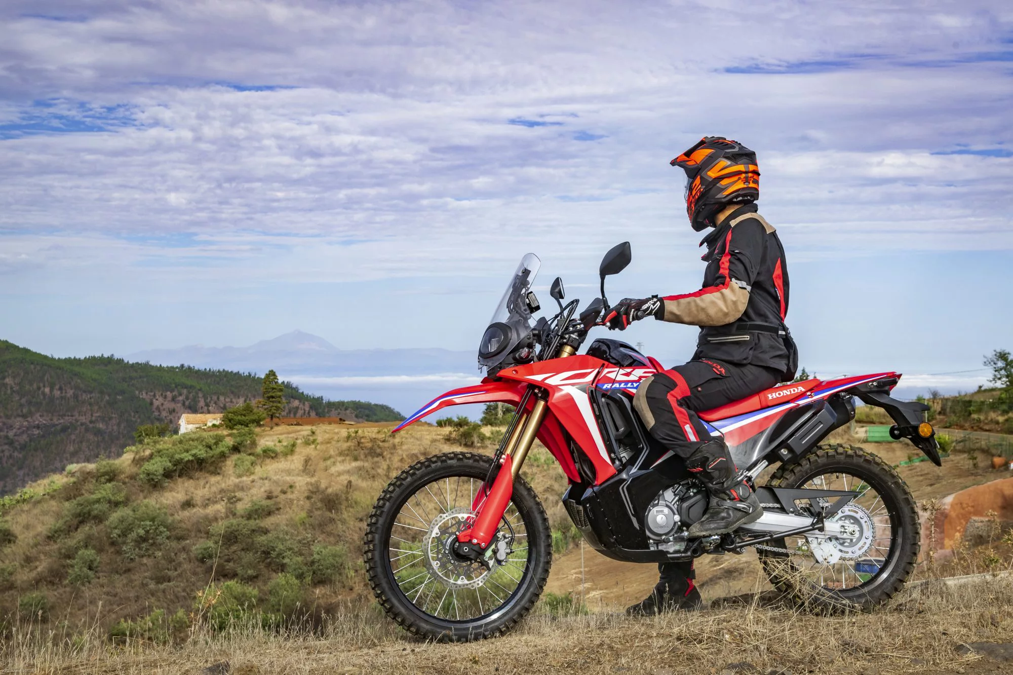 Honda CRF 300 Rally [7]