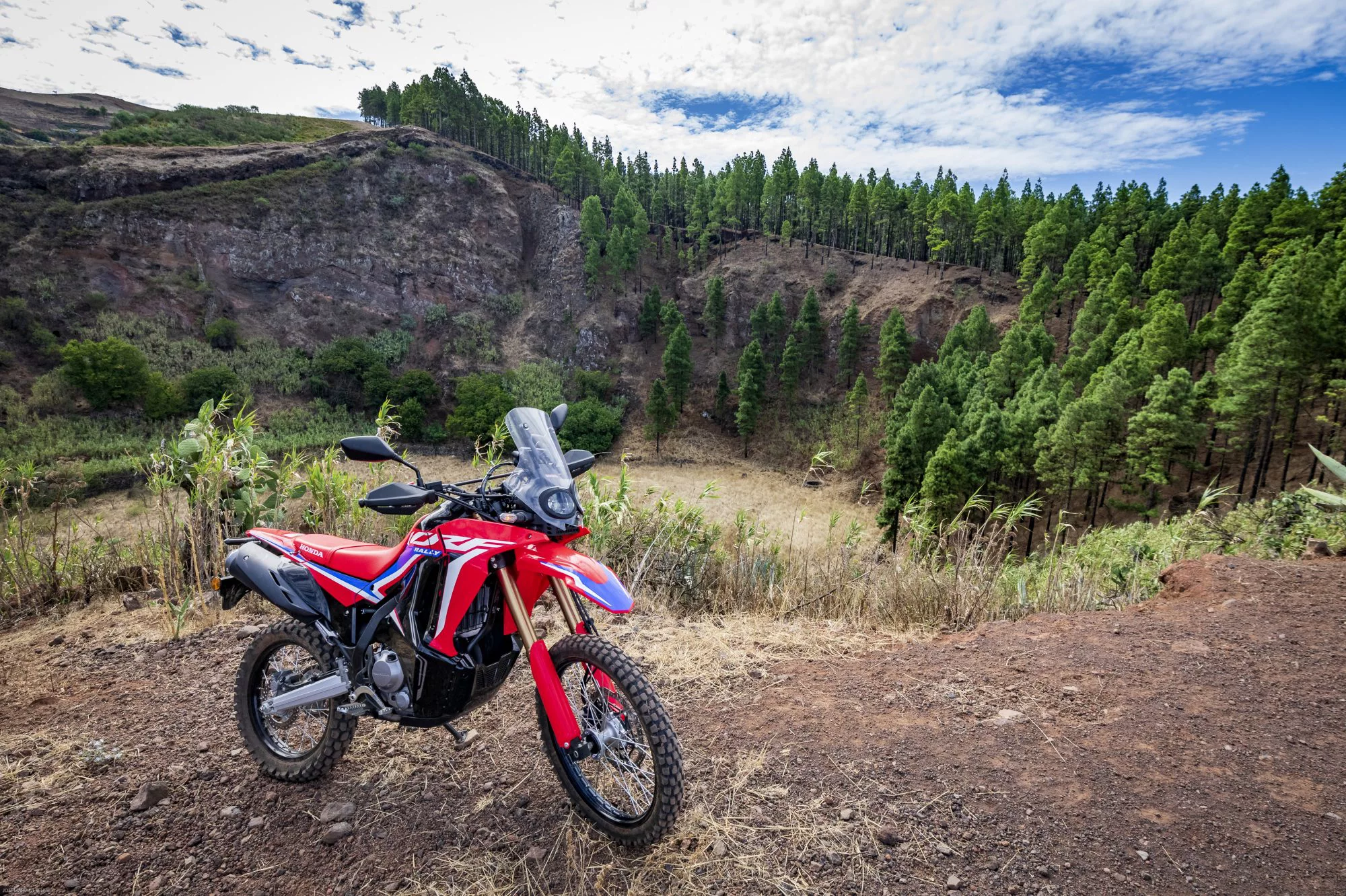 Honda CRF 300 Rally [10]