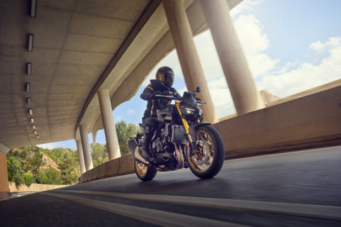 Honda Hornet 1000 [8]