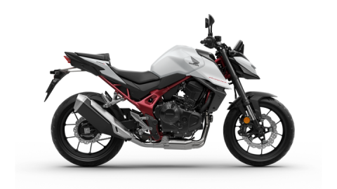 Naked - Honda Hornet 750