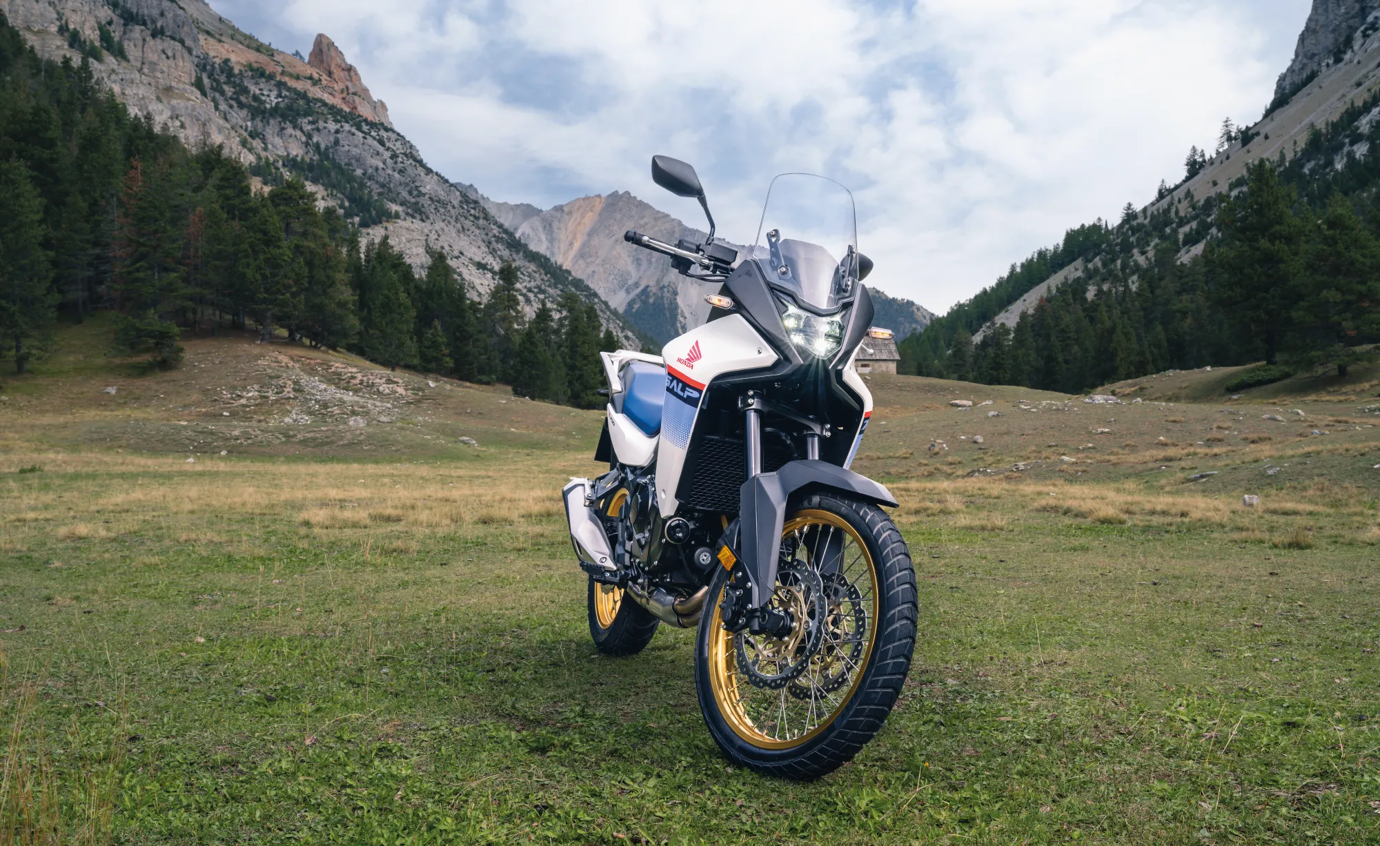 Honda Transalp 750 [4]