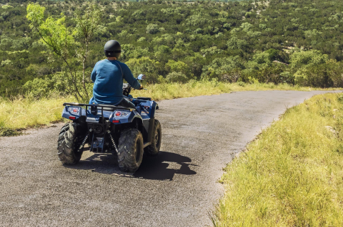 Kawasaki Brute Force 450 [3]