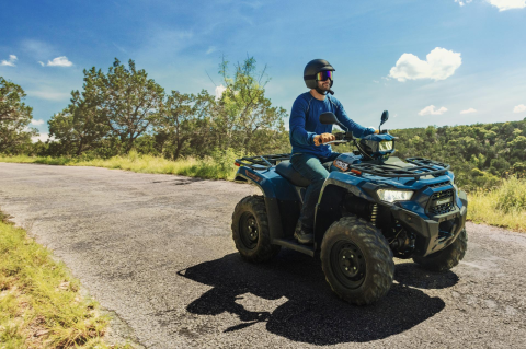 Kawasaki Brute Force 450 [5]