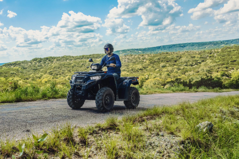 Kawasaki Brute Force 450 [6]