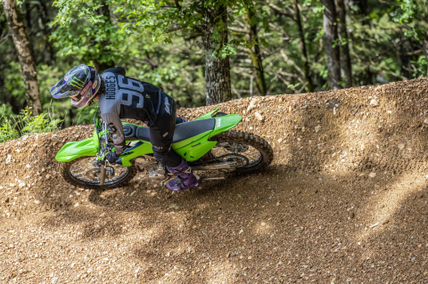 Kawasaki KLX230R S [3]