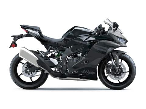 Kawasaki Ninja ZX-4RR [1]