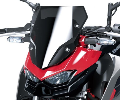 Accesorii Kawasaki - Parbriz fumuriu Kawasaki