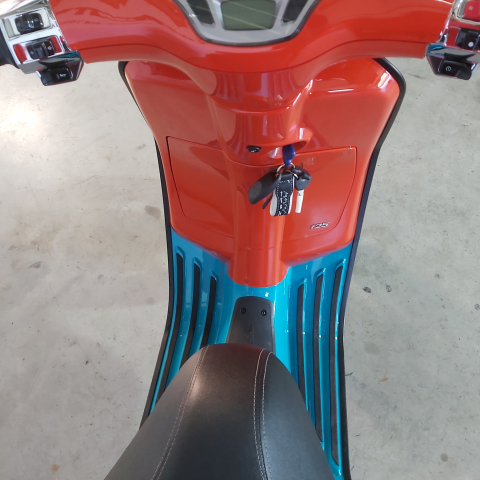 Piaggio Vespa ABS | An 2024 | P44736 [8]