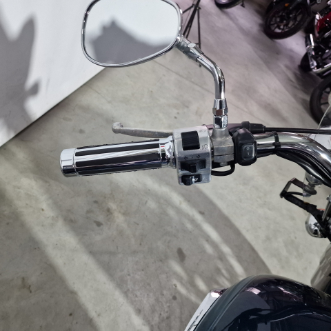 Suzuki Volusia VL800 | An 2002 | S04549 [6]