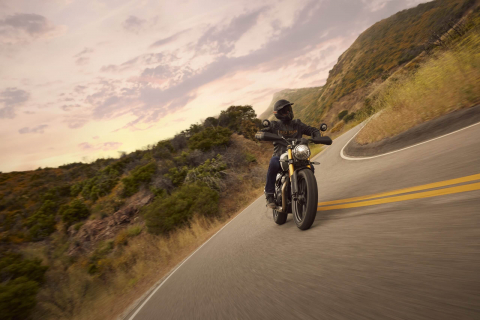 Triumph Scrambler 400 X [3]