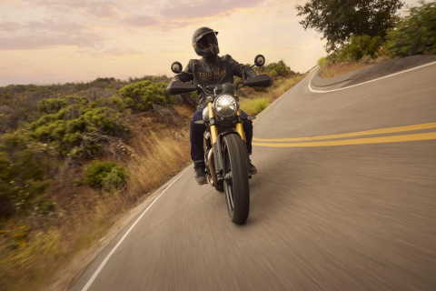 Triumph Scrambler 400 X [5]