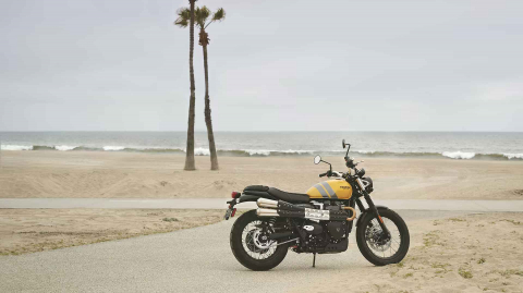 Triumph Scrambler 900 [2]