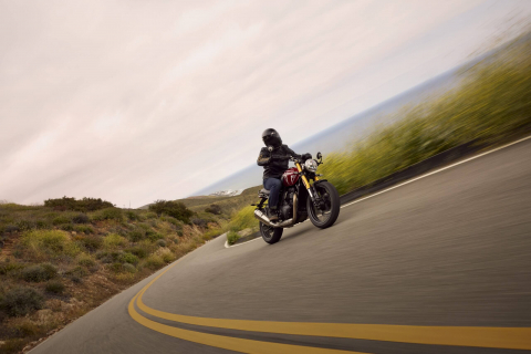 Triumph Speed 400 [8]