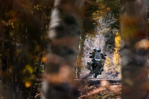 Triumph Tiger 1200 Rally Explorer [8]