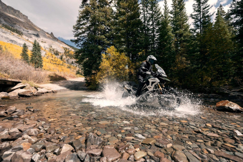 Triumph Tiger 1200 Rally Pro [6]