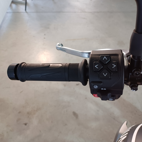 Triumph Trident 660 ABS | An 2022 | TW6036 [7]