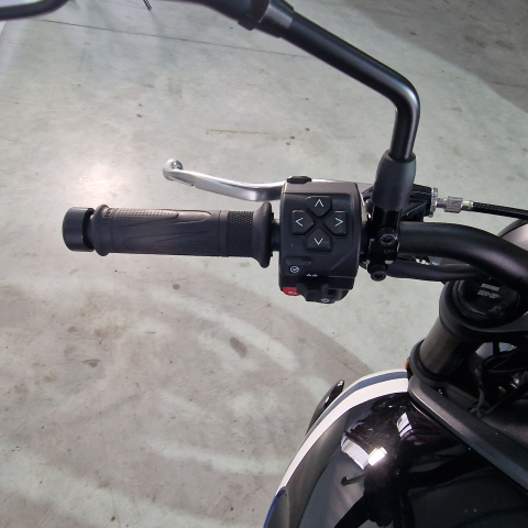 Triumph Trident 660 ABS | An 2025 | TC8652 [6]